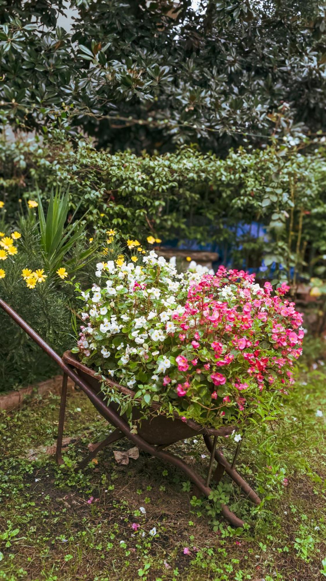 La Serra Sognante, Un Rifugio Incantevole Tra Natura E Relax Florence Exterior photo
