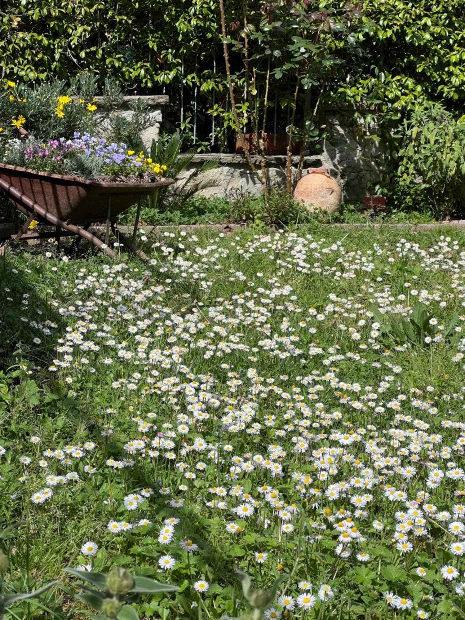 La Serra Sognante, Un Rifugio Incantevole Tra Natura E Relax Florence Exterior photo